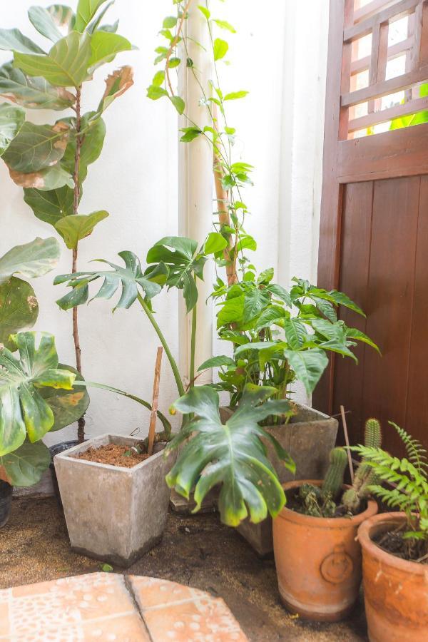 The Little Siri Hotel Chiang Mai Exterior foto
